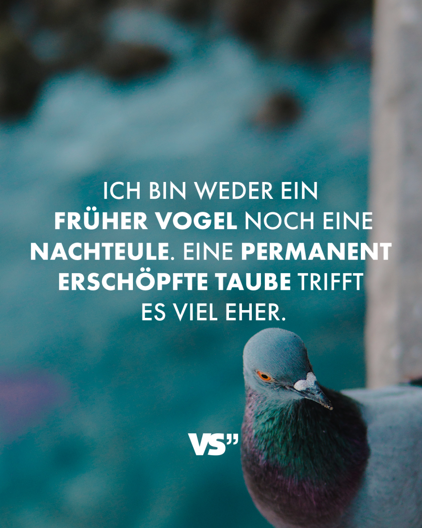 Ich bin weder ein früher Vogel noch eine Nachteule. Eine permanent erschöpfte Taube trifft es viel eher.