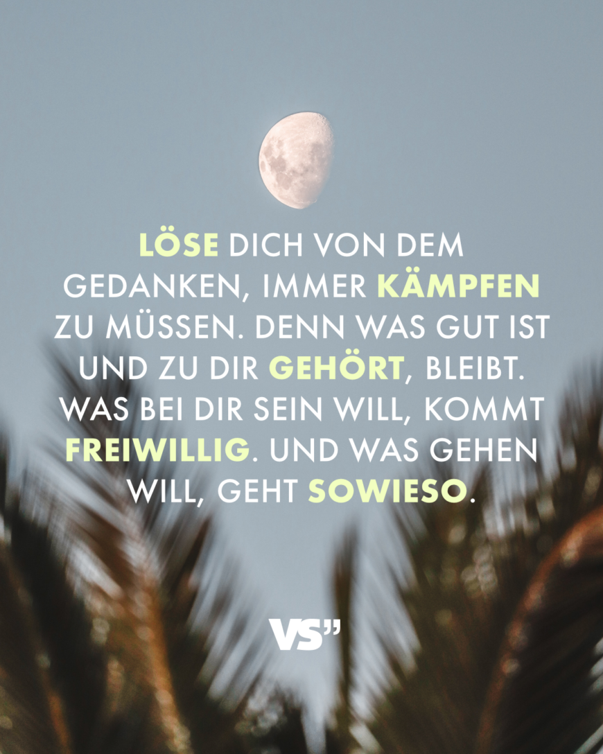 Löse dich von dem Gedanken, immer kämpfen zu müssen. Denn was gut ist und zu dir gehört, bleibt. Was bei dir sein will, kommt freiwillig. Und was gehen will, geht sowieso.