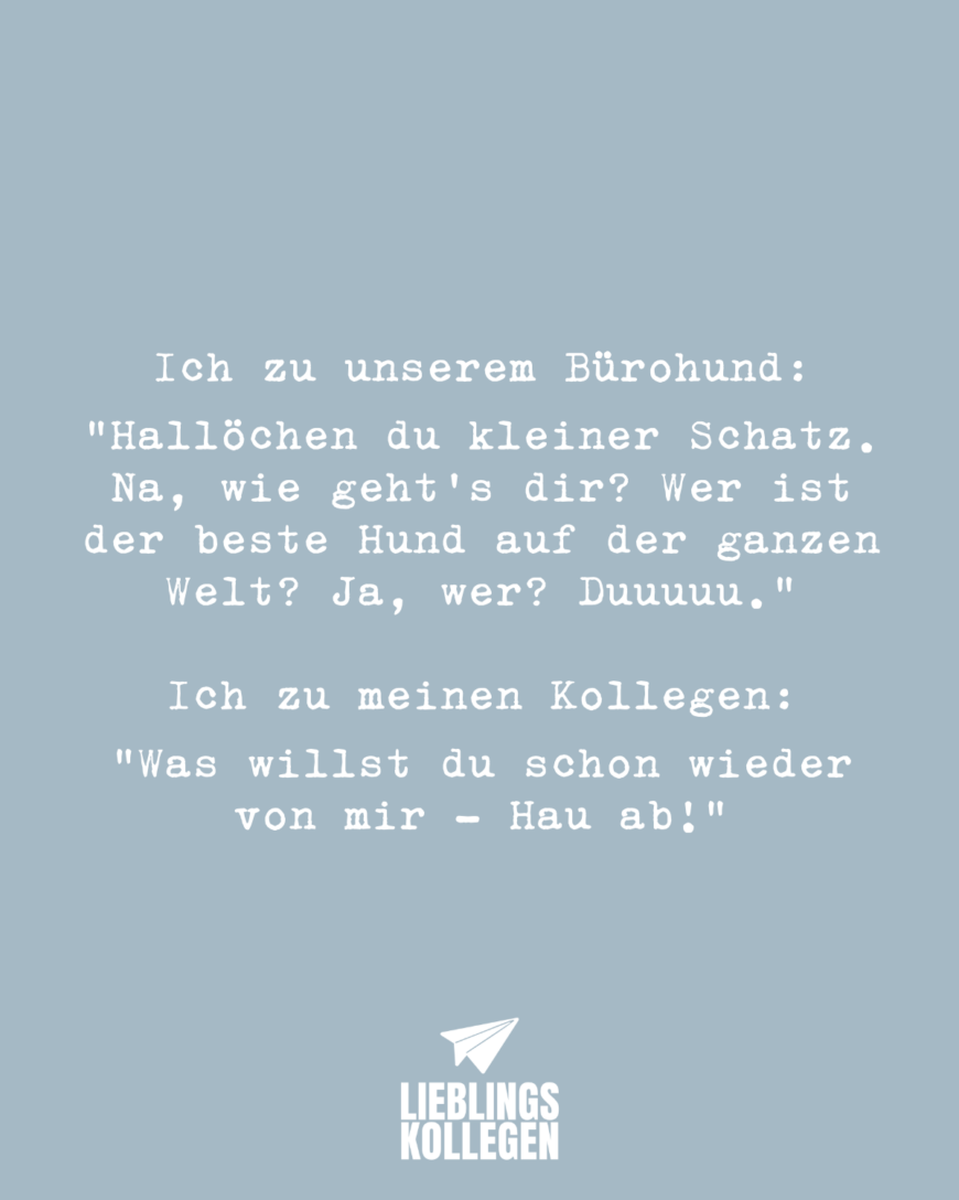 Ich zu unserem Bürohund: „Hallöchen du kleiner Schatz. Na, wie geht's dir? Wer ist der beste Hund auf der ganzen Welt? Ja, wer? Duuuuu. Ich zu meinen Kollegen: „Was willst du schon wieder von mir - Hau ab!