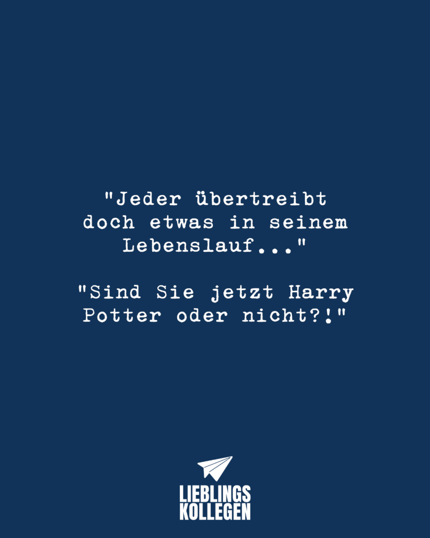 „Jeder übertreibt doch etwas in seinem Lebenslauf...“ „Sind Sie jetzt Harry Potter oder nicht?!“