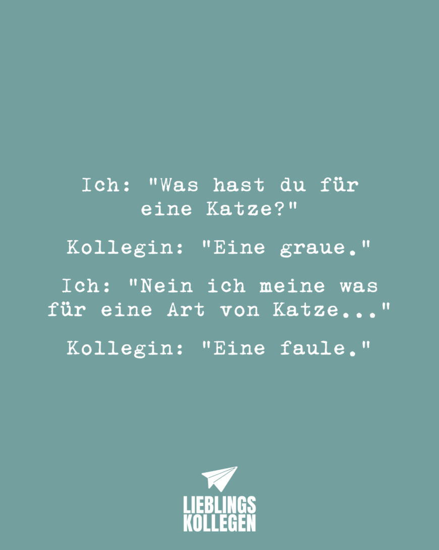 Ich: „Was hast du für eine Katze?“ Kollegin: „Eine graue.“ Ich: „Nein ich meine was für eine Art von Katze...“ Kollegin: „Eine faule.“