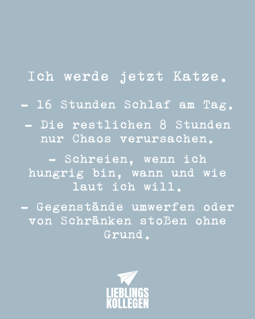 Ich werde jetzt Katze. - 16 Stunden Schlaf am Tag. - Die restlichen 8 Stunden nur Chaos verursachen. - Schreien, wenn ich hungrig bin, wann und wie laut ich will. - Gegenstände umwerfen oder von Schränken stoßen ohne Grund.