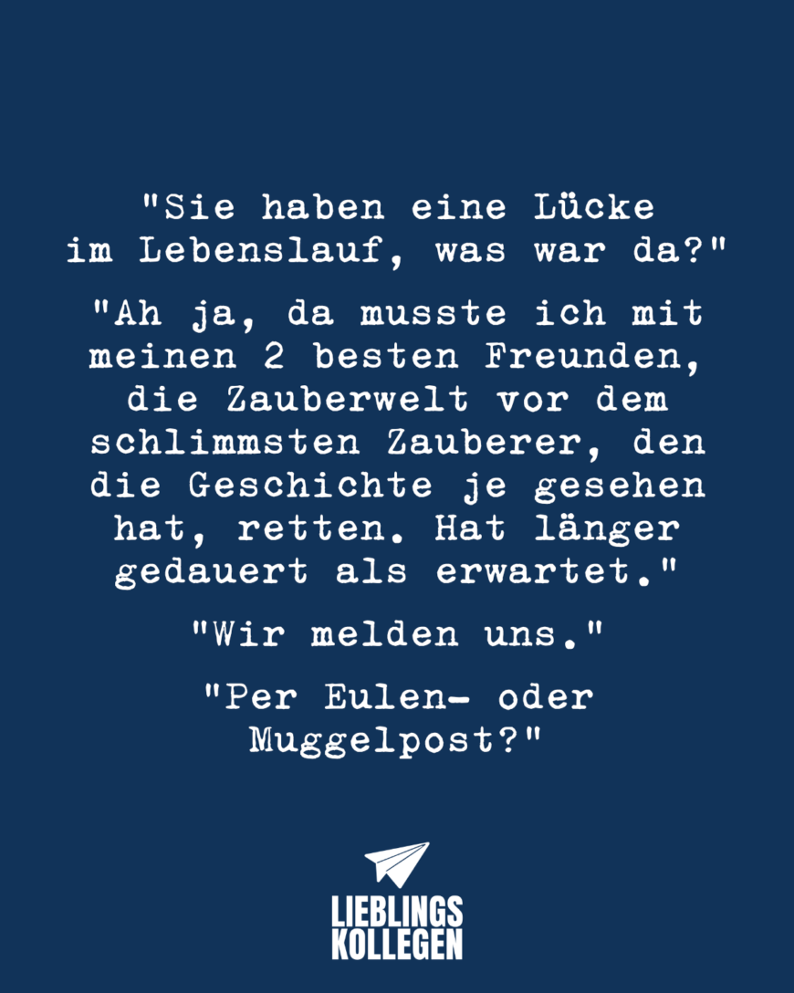 „Sie haben eine Lücke im Lebenslauf, was war da los? „Ah ja, da musste ich mit meinen 2 besten Freunden, die Zauberwelt vor dem schlimmsten Zauberer, den die Geschichte je gesehen hat, retten. Hat länger gedauert als erwartet.“ „Wir melden uns.“ „Per Eulen- oder Muggelpost?