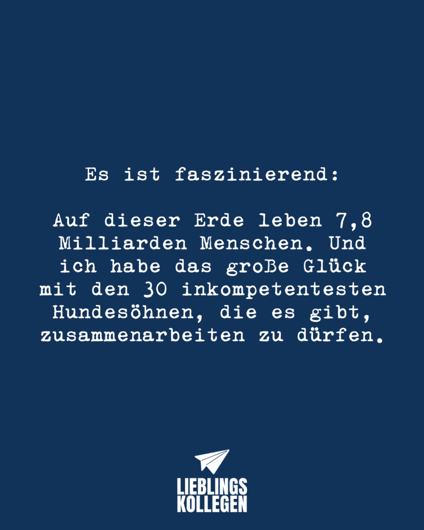 Es ist faszinierend: Auf dieser Erde leben 7,8 Milliarden Menschen. Und ich habe das große Glück mit den 30 inkompetentesten Hundesöhnen, die es gibt, zusammenarbeiten zu dürfen.