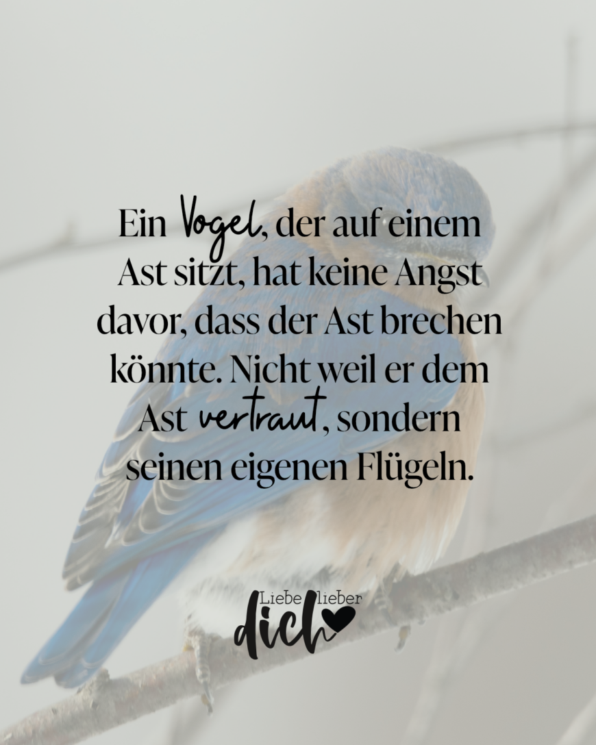 Ein Vogel, der auf einem Ast sitzt, hat keine Angst davor, dass der Ast brechen könnte. Nicht weil er dem Ast vertraut, sondern seinen eigenen Flügeln. / bunt