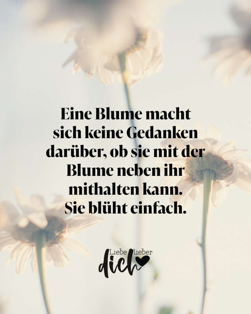 Eine Blume macht sich keine Gedanken darüber, ob sie mit der Blume neben ihr mithalten kann. Sie blüht einfach. / bunt