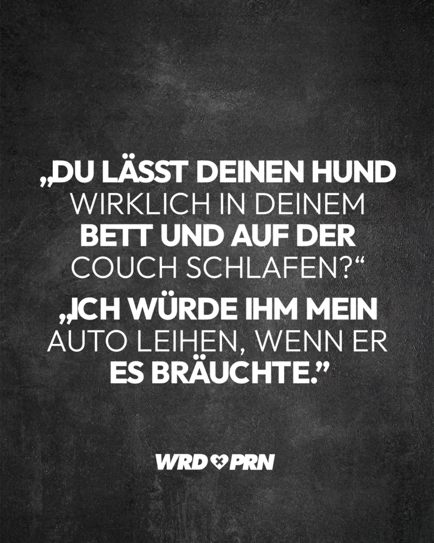 „Du lässt deinen Hund wirklich in deinem Bett und auf der Couch schlafen?“ „Ich würde ihm mein Auto leihen, wenn er es bräuchte.”