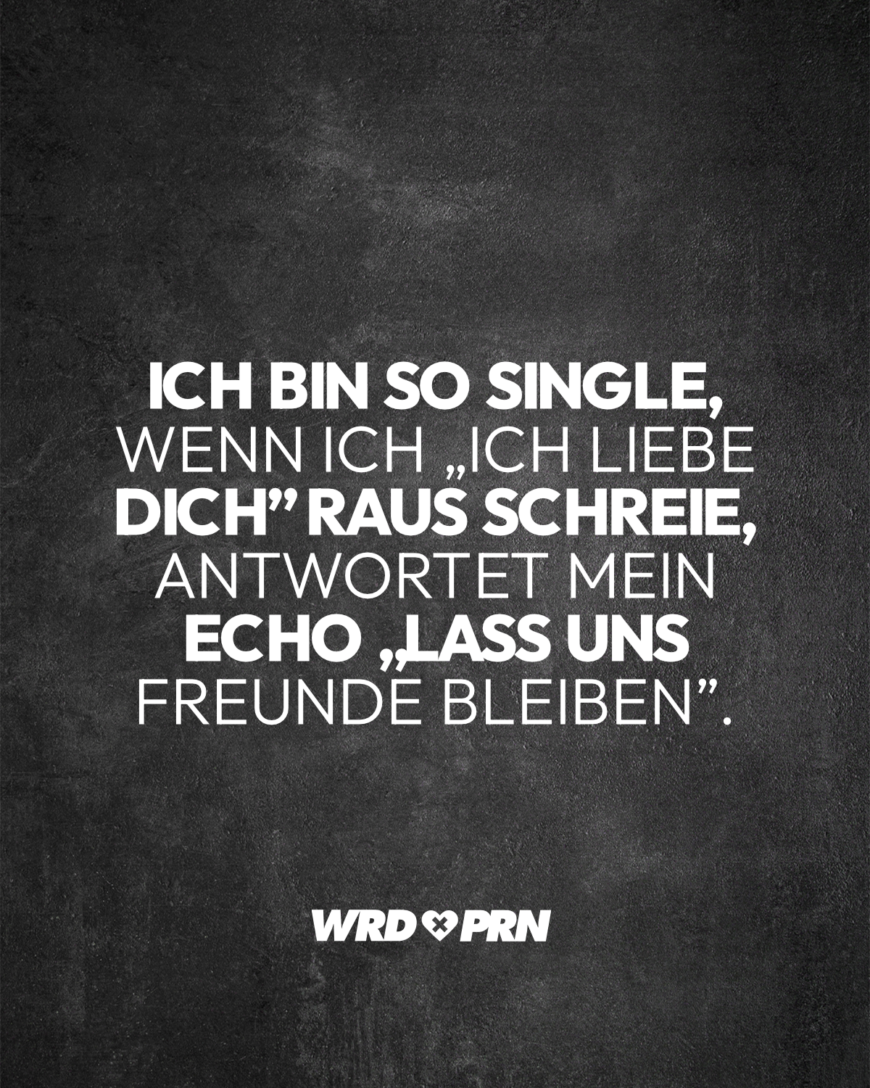 Ich bin so Single, wenn ich „Ich liebe dich” raus schreie, antwortet mein Echo „Lass uns Freunde bleiben”.