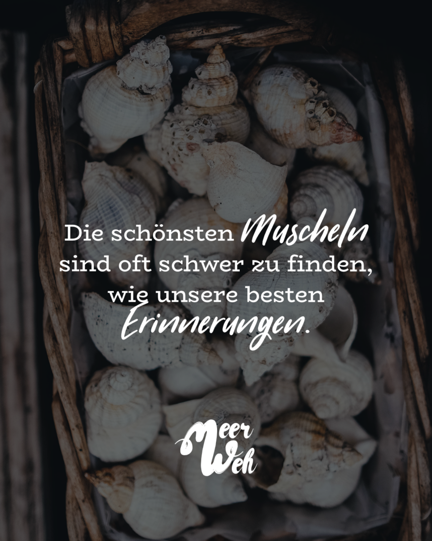 Die schönsten Muscheln sind oft schwer zu finden, wie unsere besten Erinnerungen.