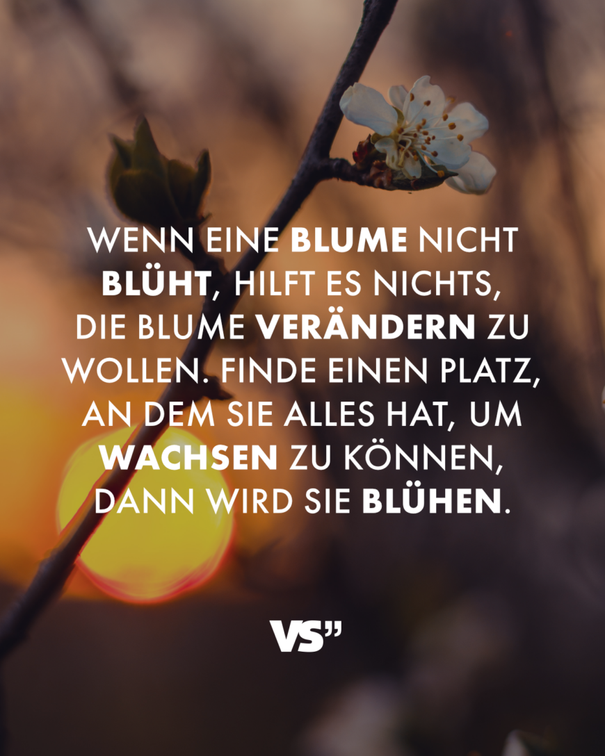 Wenn eine Blume nicht blüht, hilft es nichts, die Blume verändern zu wollen. Finde einen Platz, an dem sie alles hat, um wachsen zu können, dann wird sie blühen.