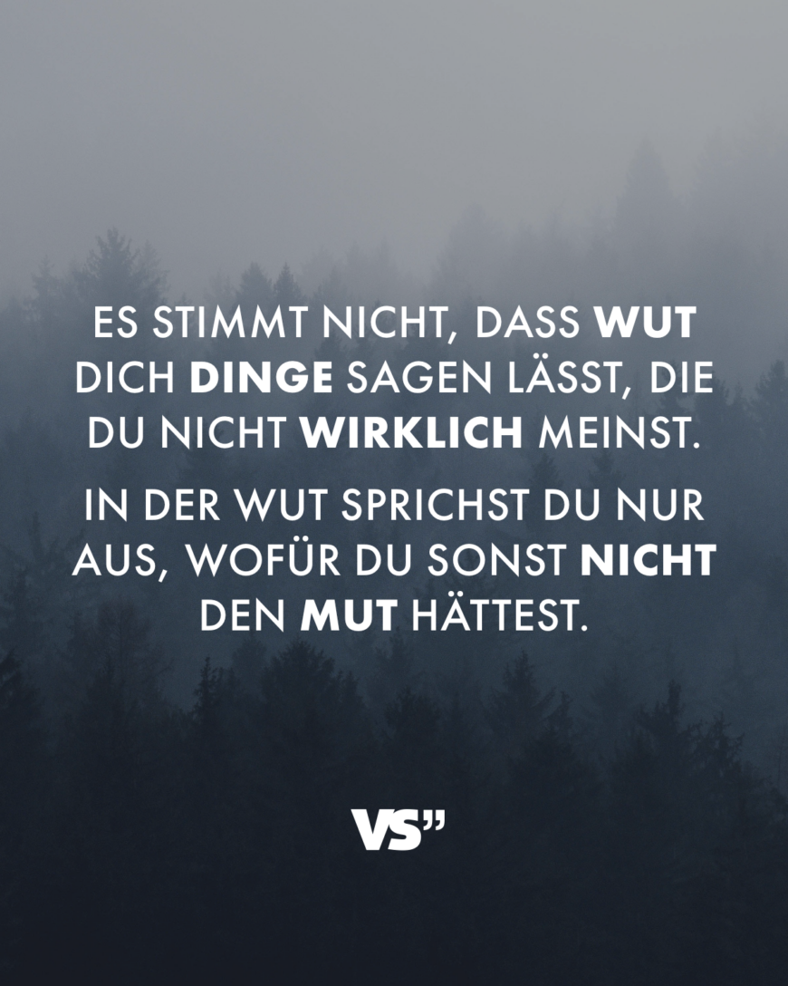 Es stimmt nicht, dass Wut dich Dinge sagen lässt, die du nicht wirklich meinst. In der Wut sprichst du nur aus, wofür du sonst nicht den Mut hättest.