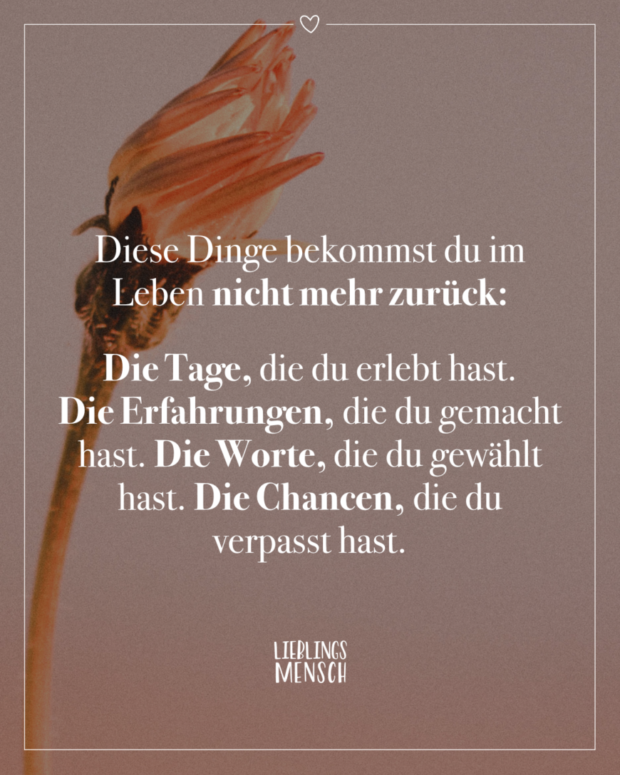 Diese Dinge bekommst du im Leben nicht mehr zurück: Die Tage, die du erlebt hast. Die Erfahrungen, die du gemacht hast. Die Worte, die du gewählt hast. Die Chancen, die du verpasst hast.