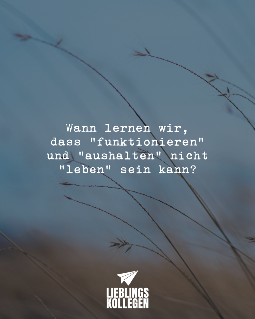 Wann lernen wir, dass “funktionieren” und “aushalten” nicht “leben” sein kann?