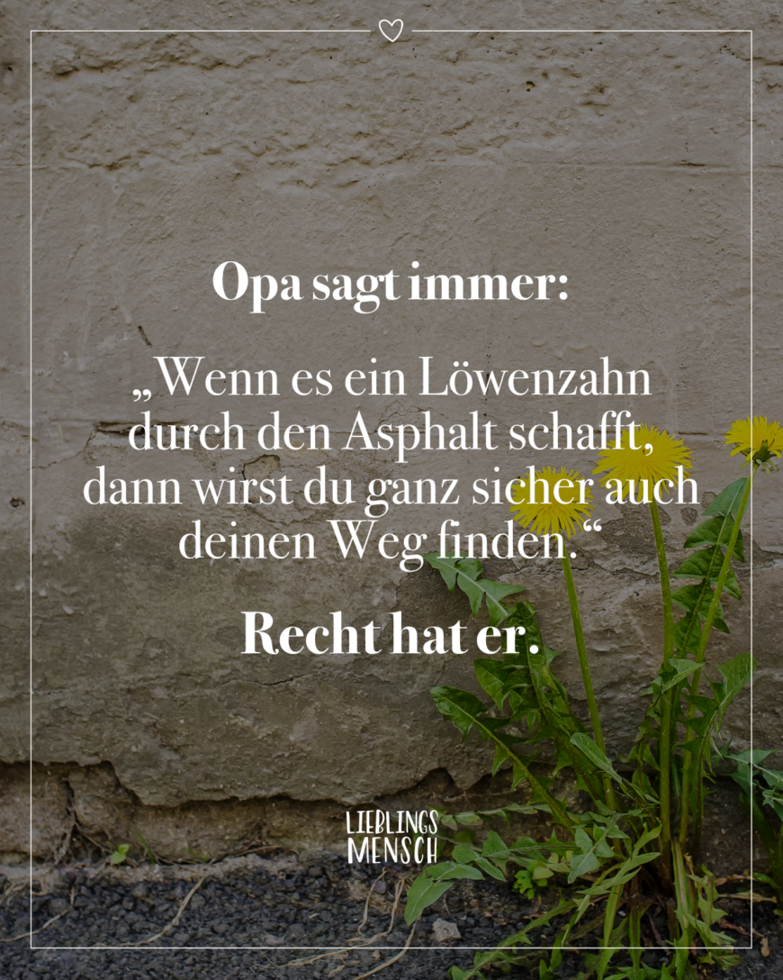 „Opa sagt immer: Wenn es ein Löwenzahn durch den Asphalt schafft, dann wirst du ganz sicher auch deinen Weg finden. Recht hat er.