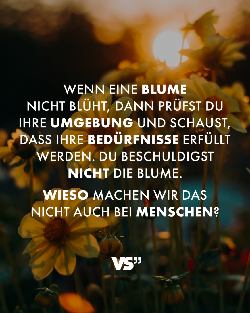 Wenn eine Blume nicht blüht, dann prüfst du ihre Umgebung und schaust, dass ihre Bedürfnisse erfüllt werden. Du beschuldigst nicht die Blume. Wieso machen wir das nicht auch bei Menschen?