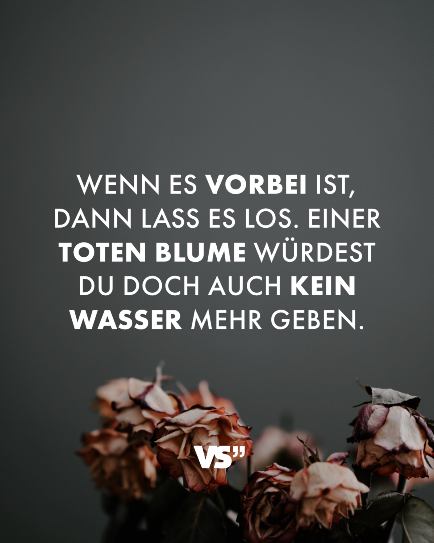 Wenn es vorbei ist, dann lass es los. Einer toten Blume würdest du doch auch kein Wasser mehr geben.