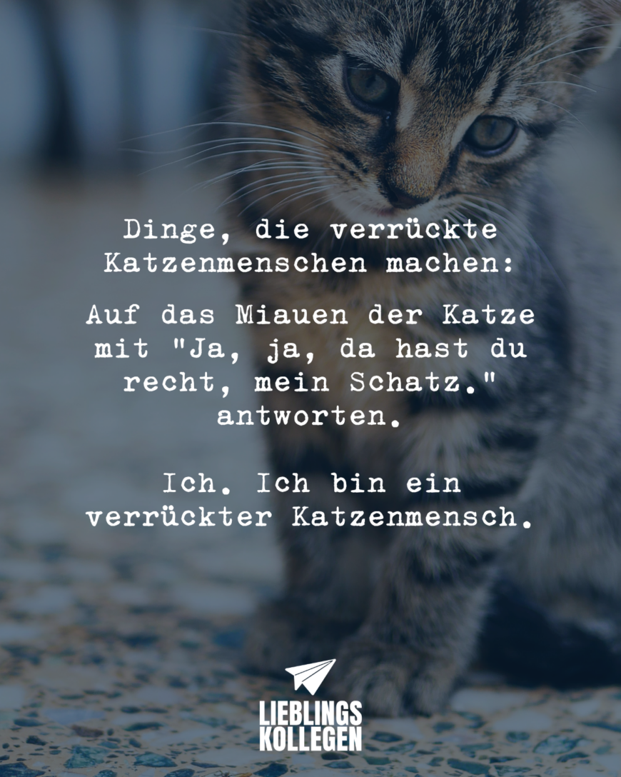 Dinge, die verrückte Katzenmenschen machen: Auf das Miauen der Katze mit “Ja, ja, da hast du recht, mein Schatz.” antworten. Ich. Ich bin ein verrückter Katzenmensch.