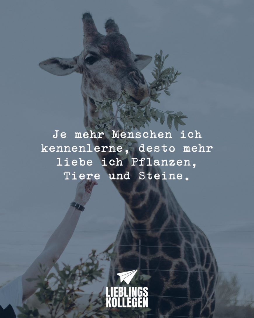 Je mehr Menschen ich kennenlerne, desto mehr liebe ich Pflanzen, Tiere und Steine.