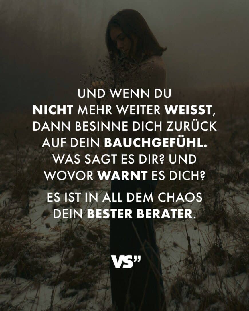 Und wenn du nicht mehr weiter weißt, dann besinne dich zurück auf dein Bauchgefühl. Was sagt es dir? Und wovor warnt es dich? Es ist in all dem Chaos dein bester Berater.