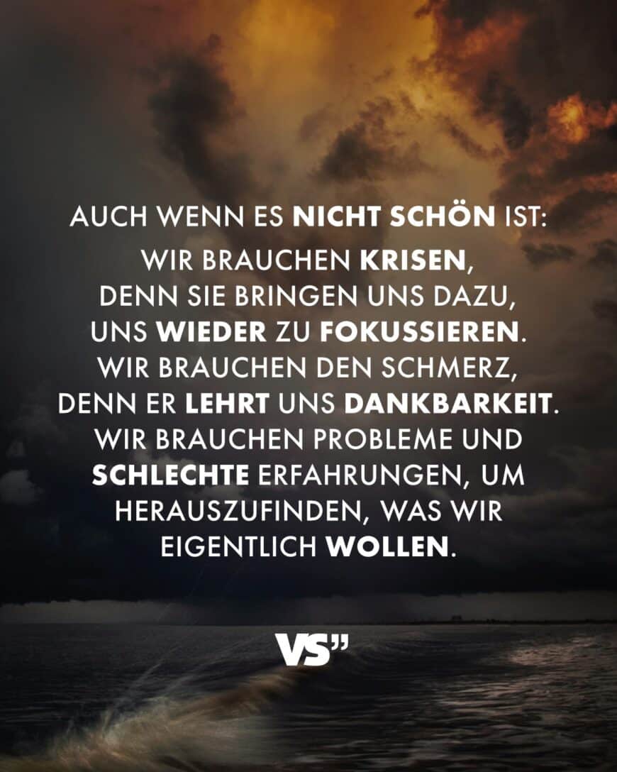 Auch wenn es nicht schön ist: Wir brauchen Krisen, denn sie bringen uns dazu, uns wieder zu fokussieren. Wir brauchen den Schmerz, denn er lehrt uns Dankbarkeit. Wir brauchen Probleme und schlechte Erfahrungen, um herauszufinden, was wir eigentlich wollen.