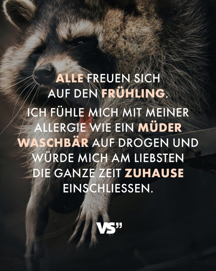 Alle freuen sich auf den Frühling. Ich fühle mich mit meiner Allergie wie ein müder Waschbär auf Drogen und würde mich am liebsten die ganze Zeit zuhause einschließen.