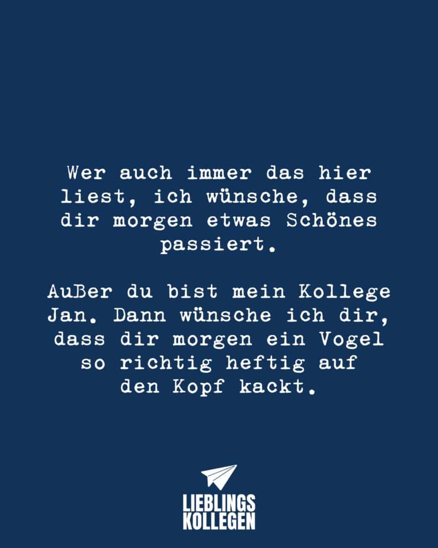 Wer auch immer das hier liest, ich wünsche, dass dir morgen etwas Schönes passiert. Außer du bist mein Kollege Jan. Dann wünsche ich dir, dass dir morgen ein Vogel so richtig heftig auf den Kopf kackt.