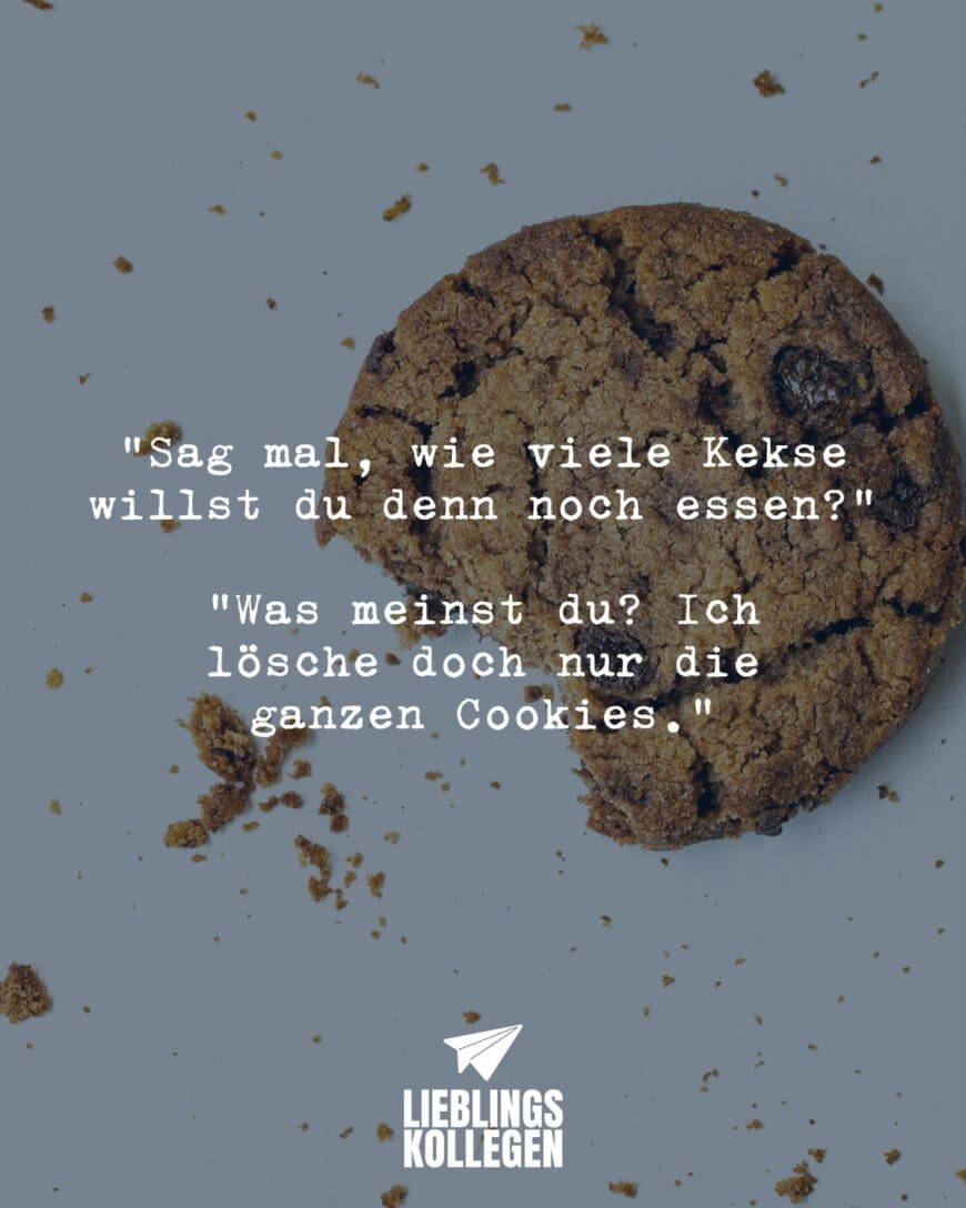 “Sag mal, wie viele Kekse willst du denn noch essen?” “Was meinst du? Ich lösche doch nur die ganzen Cookies.”