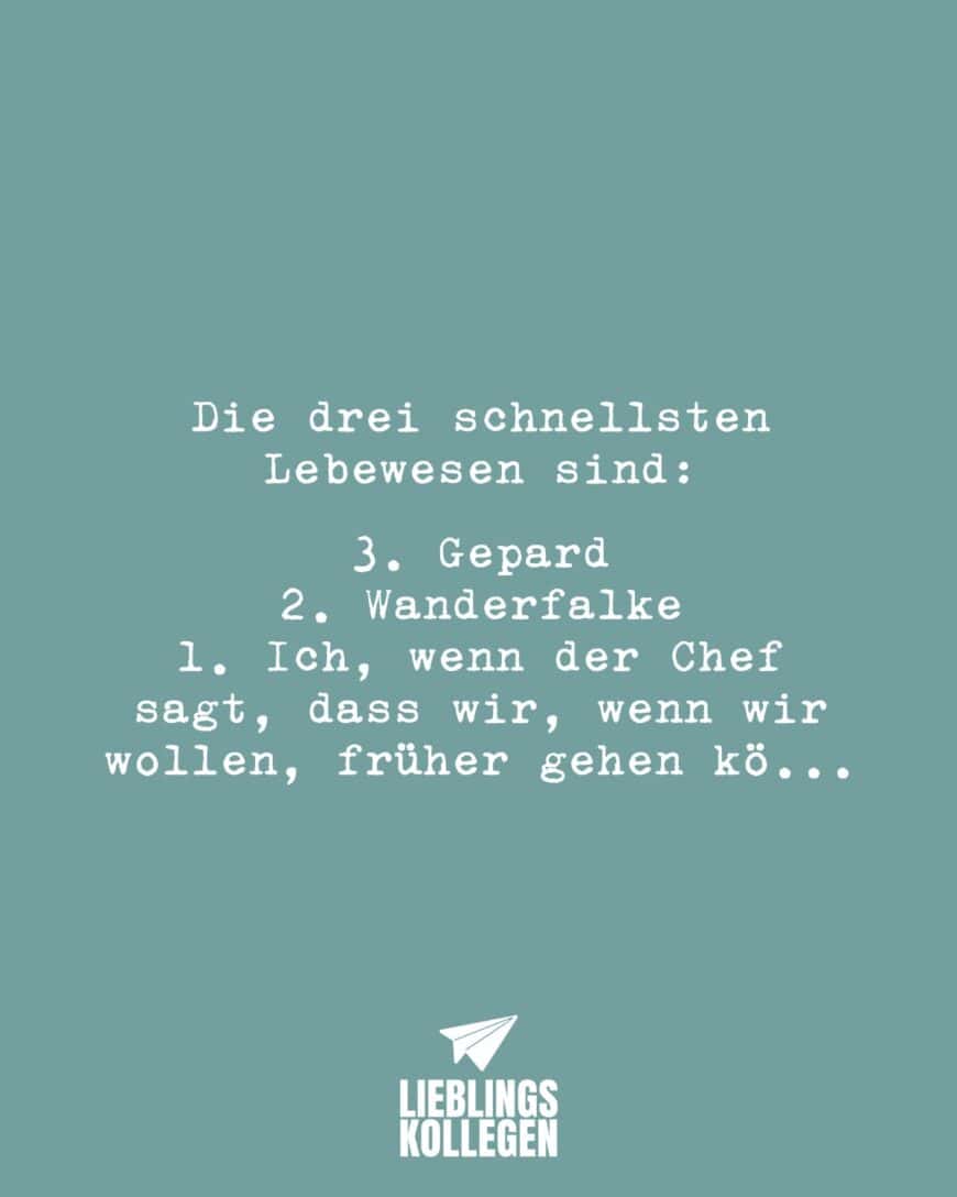 Die drei schnellsten Lebewesen sind: 3. Gepard 2. Wanderfalke 1. Ich, wenn der Chef sagt, dass wir, wenn wir wollen, früher gehen kö…