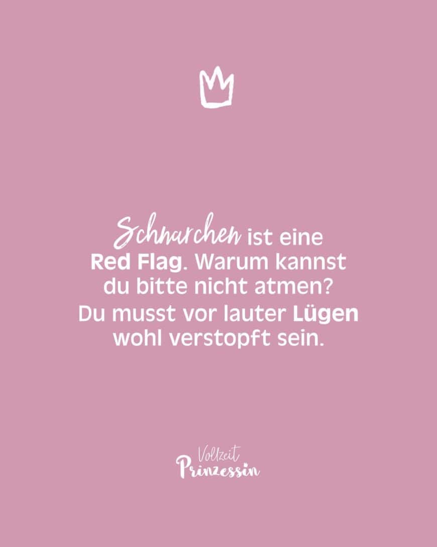 Schnarchen ist eine Red Flag. Warum kannst du bitte nicht atmen? Du musst vor lauter Lügen wohl verstopft sein.