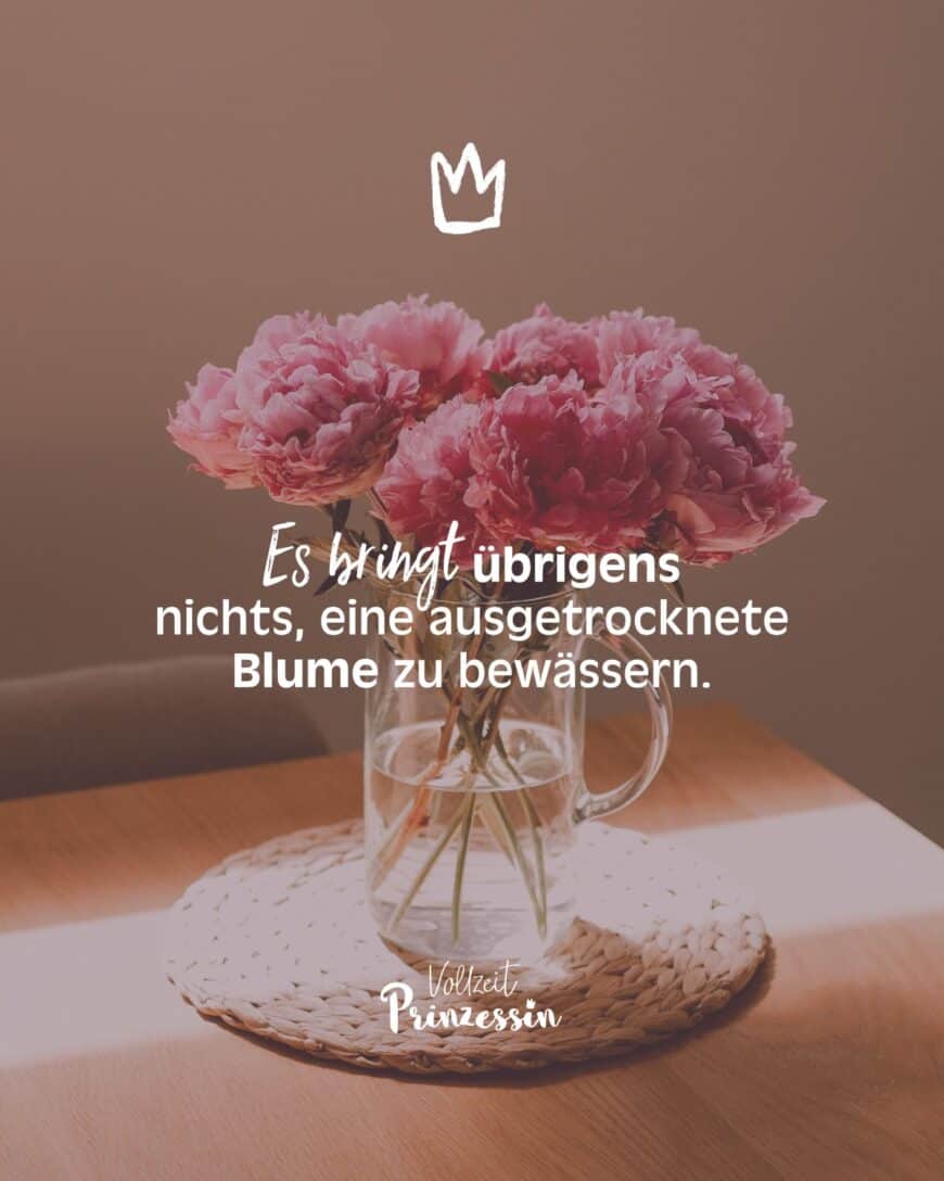 Es bringt übrigens nichts, eine ausgetrocknete Blume zu bewässern.