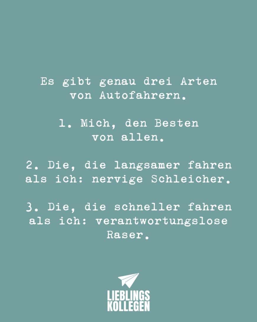 Es gibt genau drei Arten von Autofahrern. 1. Mich, den Besten von allen. 2. Die, die langsamer fahren als ich: nervige Schleicher. 3. Die, die schneller fahren als ich: verantwortungslose Raser.