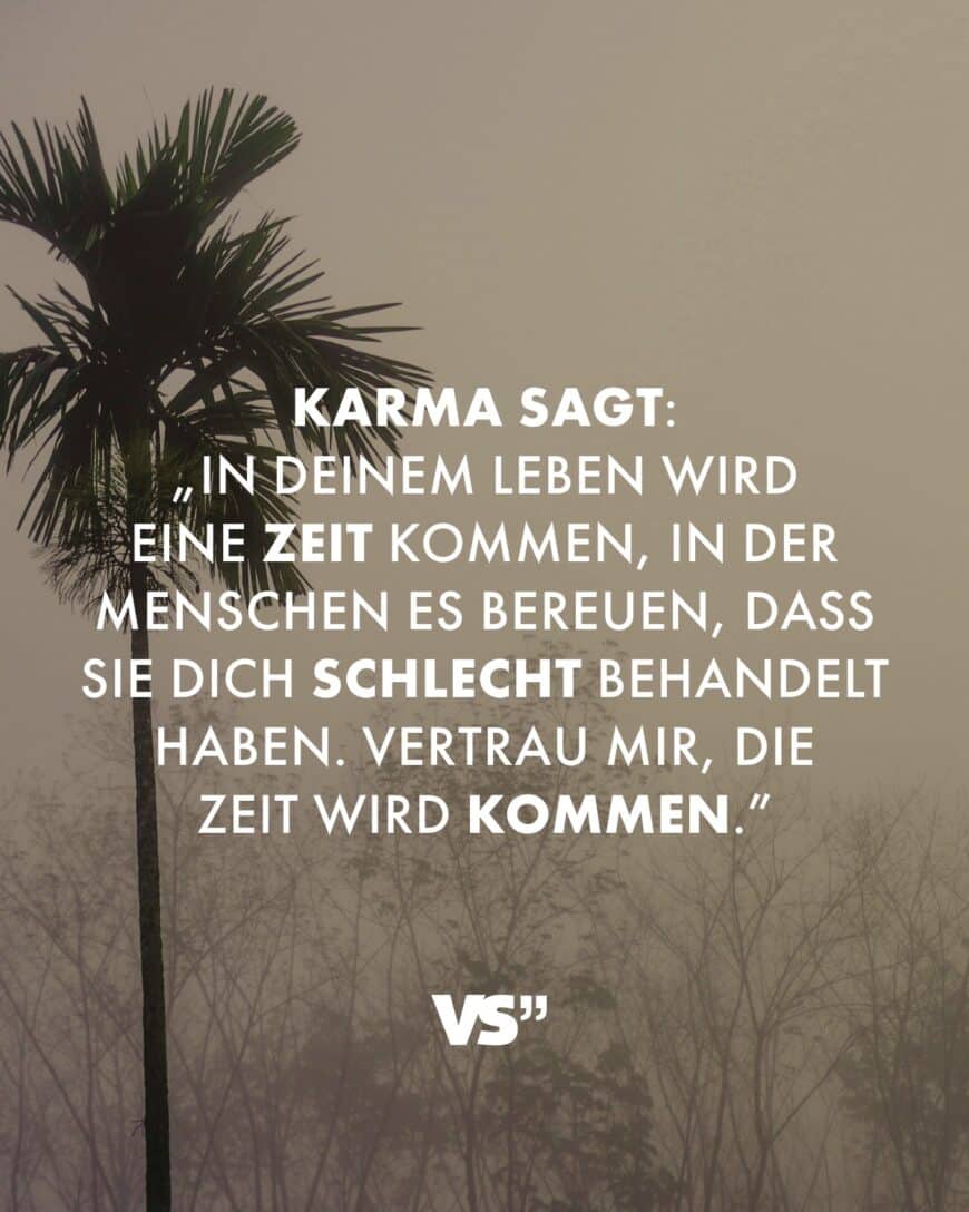 Karma sagt: „In deinem Leben wird eine Zeit kommen, in der Menschen es bereuen, dass sie dich schlecht behandelt haben. Vertrau mir, die Zeit wird kommen.”