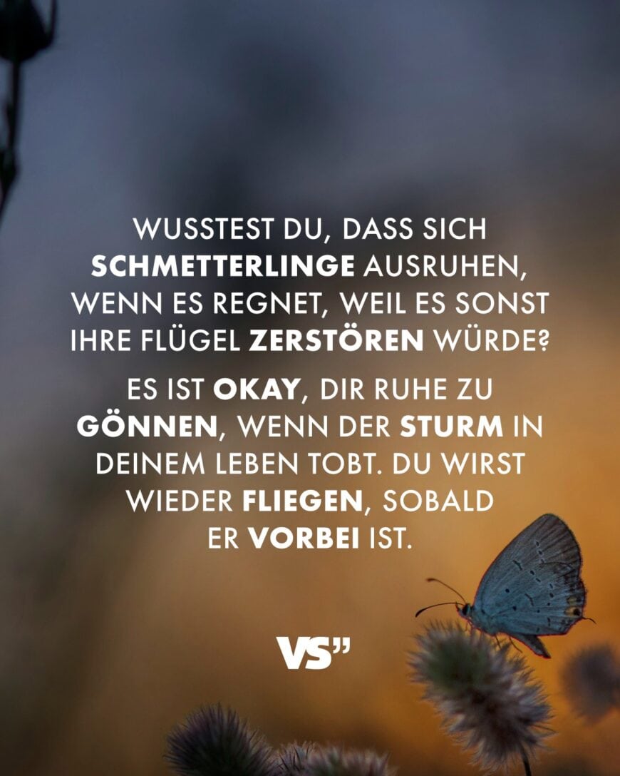 Wusstest du, dass sich Schmetterlinge ausruhen, wenn es regnet, weil es sonst ihre Flügel zerstören würde? Es ist okay, dir Ruhe zu gönnen, wenn der Sturm in deinem Leben tobt. Du wirst wieder fliegen, sobald er vorbei ist.