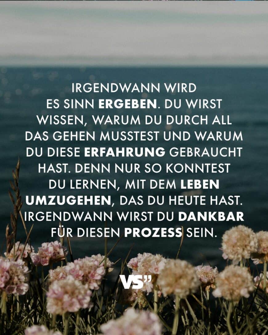 Irgendwann wird es Sinn ergeben. Du wirst wissen, warum du durch all das gehen musstest und warum du diese Erfahrung gebraucht hast. Denn nur so konntest du lernen, mit dem Leben umzugehen, das du heute hast. Irgendwann wirst du dankbar für diesen Prozess sein.