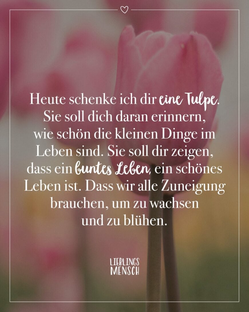 Heute schenke ich dir eine Tulpe. Sie soll dich daran erinnern, wie schön die kleinen Dinge im Leben sind. Sie soll dir zeigen, dass ein buntes Leben, ein schönes Leben ist. Dass wir alle Zuneigung brauchen, um zu wachsen und zu blühen.