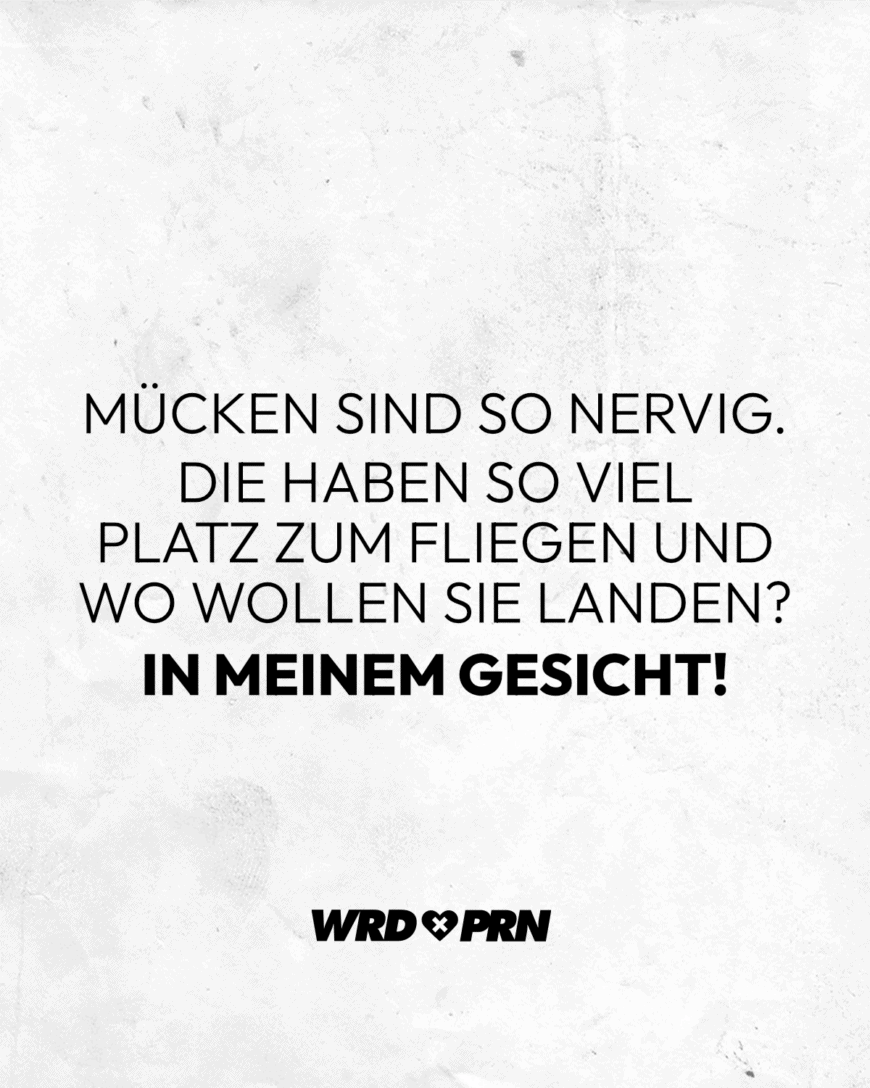 Mücken sind so nervig. Die haben so viel Platz zum Fliegen und wo wollen sie landen? In meinem Gesicht!