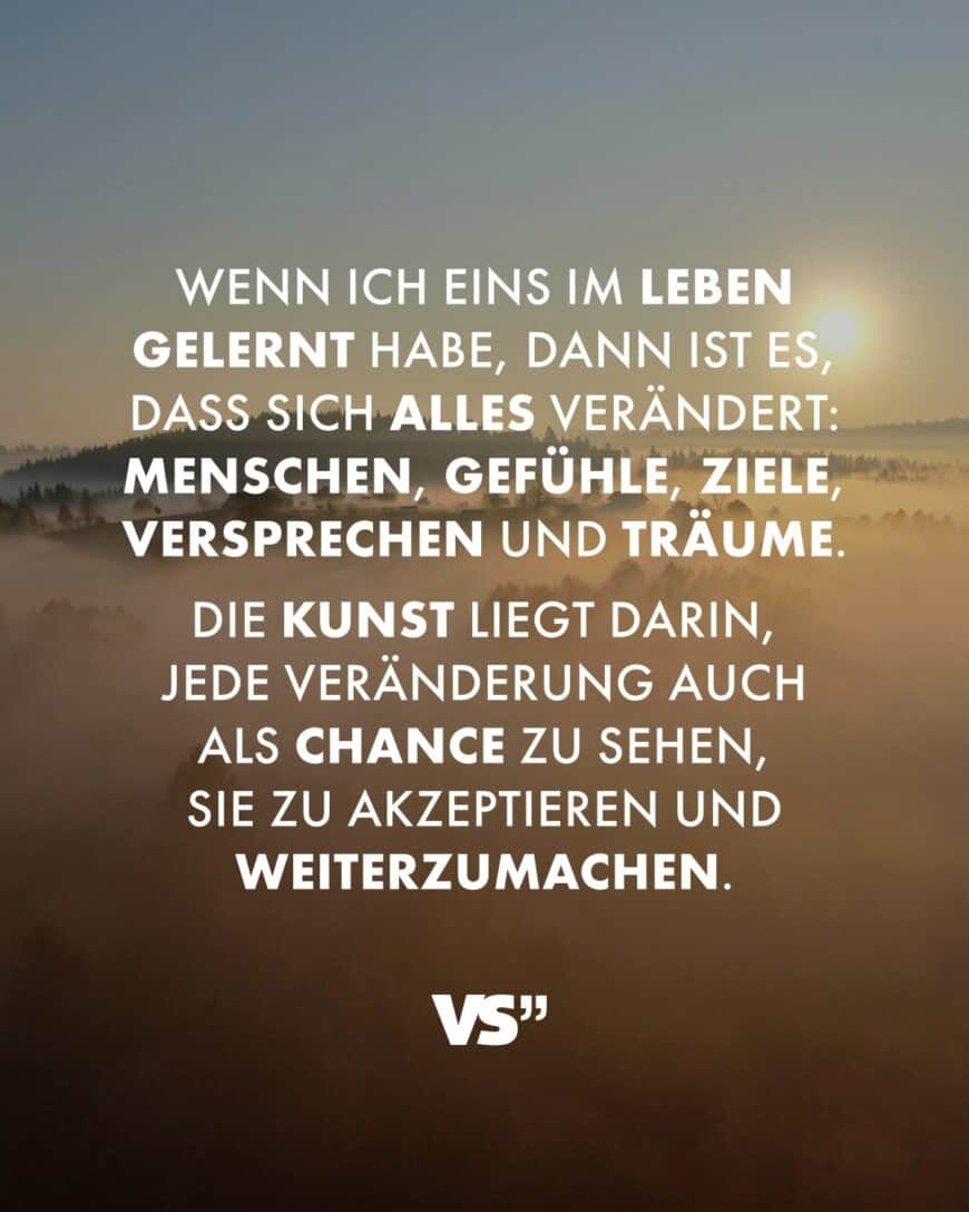 Wenn ich eins im Leben gelernt habe, dann ist es, dass sich alles verändert: Menschen, Gefühle, Ziele, Versprechen und Träume. Die Kunst liegt darin, jede Veränderung auch als Chance zu sehen, sie zu akzeptieren und weiterzumachen.