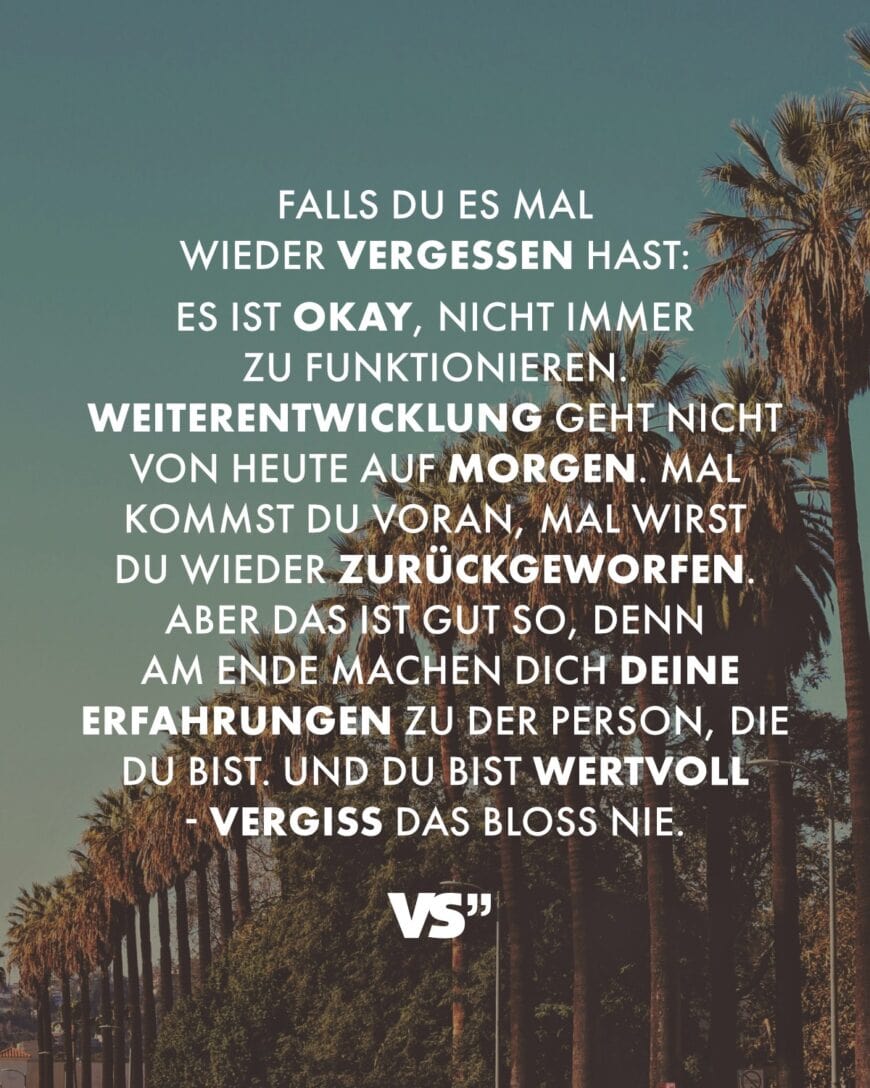 Falls du es mal wieder vergessen hast: Es ist okay, nicht immer zu funktionieren. Weiterentwicklung geht nicht von heute auf morgen. Mal kommst du voran, mal wirst du wieder zurückgeworfen. Aber das ist gut so, denn am Ende machen dich deine Erfahrungen zu der Person, die du bist. Und du bist wertvoll - vergiss das bloß nie.