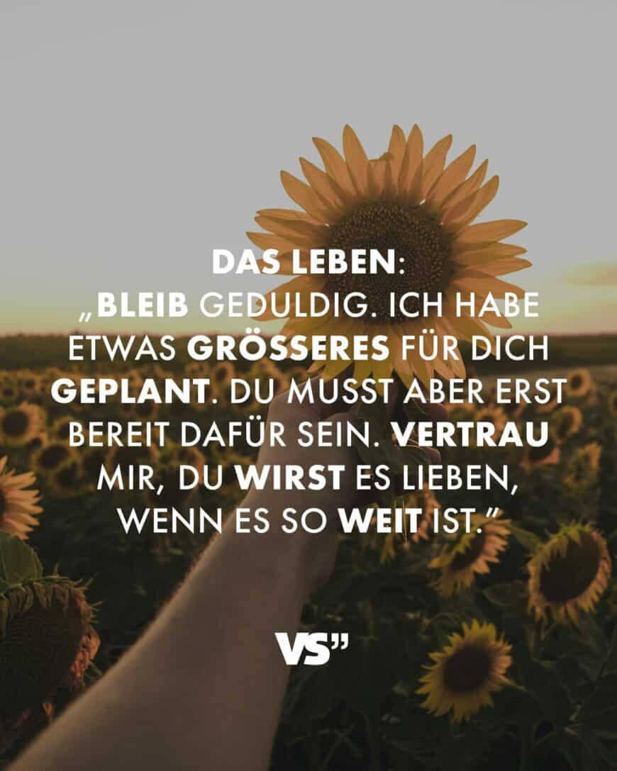 Das Leben: „Bleib geduldig. Ich habe etwas Größeres für dich geplant. Du musst aber erst bereit dafür sein. Vertrau mir, du wirst es lieben, wenn es so weit ist.”