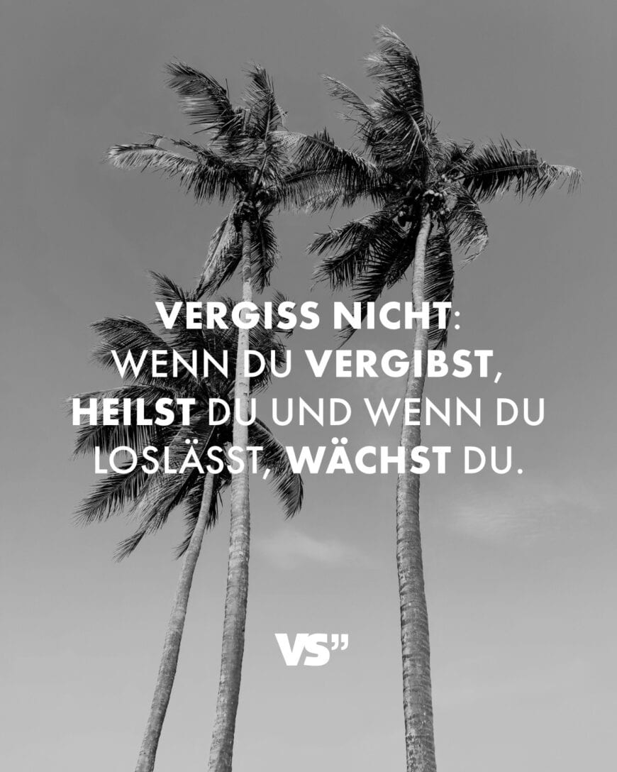 Vergiss nicht: Wenn du vergibst, heilst du und wenn du loslässt, wächst du.