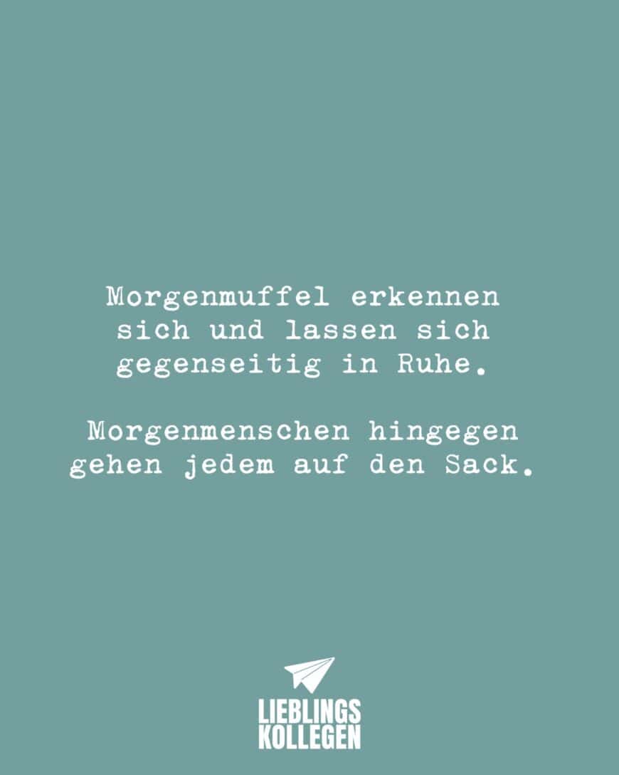 Morgenmuffel erkennen sich und lassen sich gegenseitig in Ruhe. Morgenmenschen hingegen gehen jedem auf den Sack.