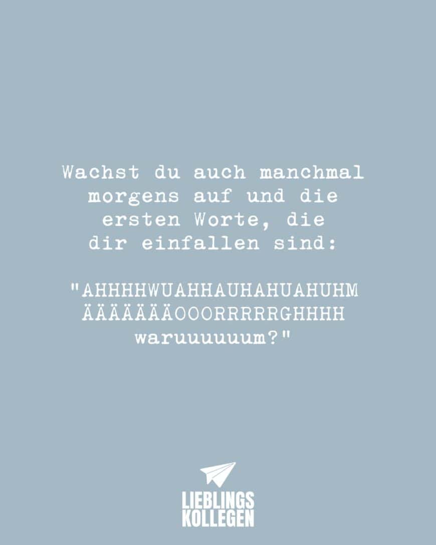 Wachst du auch manchmal morgens auf und die ersten Worte, die dir einfallen sind: “AHHHHWUAHHAUHAHUAHUHMÄÄÄÄÄÄÄOOORRRRRGHHHH waruuuuuum?”