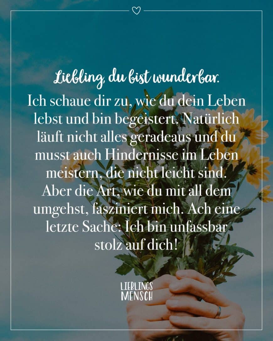 Liebling, du bist wunderbar. Ich schaue dir zu, wie du dein Leben lebst und bin begeistert. Natürlich läuft nicht alles geradeaus und du musst auch Hindernisse im Leben meistern, die nicht leicht sind. Aber die Art, wie du mit all dem umgehst, fasziniert mich. Ach eine letzte Sache: Ich bin unfassbar stolz auf dich!