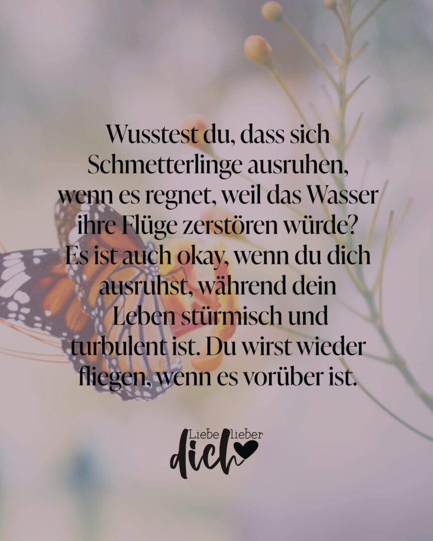 Wusstest du, dass sich Schmetterlinge ausruhen, wenn es regnet, weil das Wasser ihre Flüge zerstören würde? Es ist auch okay, wenn du dich ausruhst, während dein Leben stürmisch und turbulent ist. Du wirst wieder fliegen, wenn es vorüber ist.