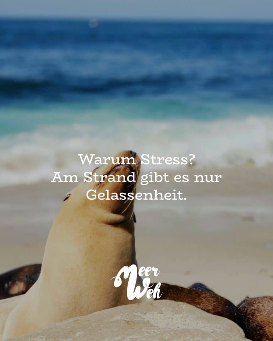 Warum Stress? Am Strand gibt es nur Gelassenheit.