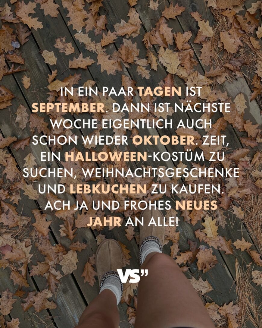 In ein paar Tagen ist September. Dann ist nächste Woche eigentlich auch schon wieder Oktober. Zeit, ein Halloween-Kostüm zu suchen, Weihnachtsgeschenke und Lebkuchen zu kaufen. Ach ja und frohes neues Jahr an alle!