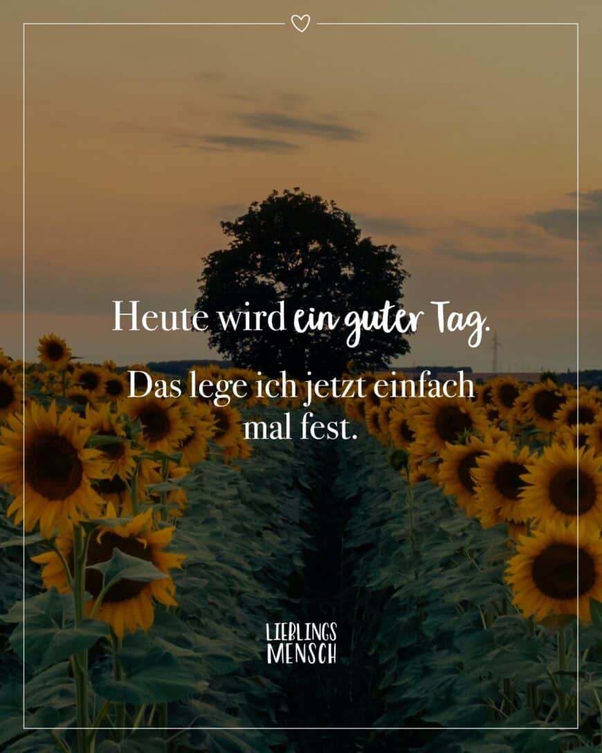 Heute wird ein guter Tag. Das lege ich jetzt einfach mal fest.