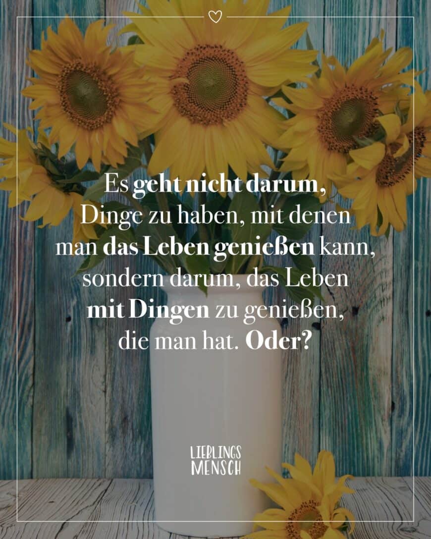 Es geht nicht darum, Dinge zu haben, mit denen man das Leben genießen kann, sondern darum, das Leben mit Dingen zu genießen, die man hat. Oder?